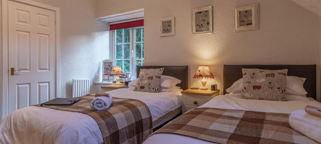 Bed and Breakfast Glyntwrog House à Betws-y-Coed Extérieur photo
