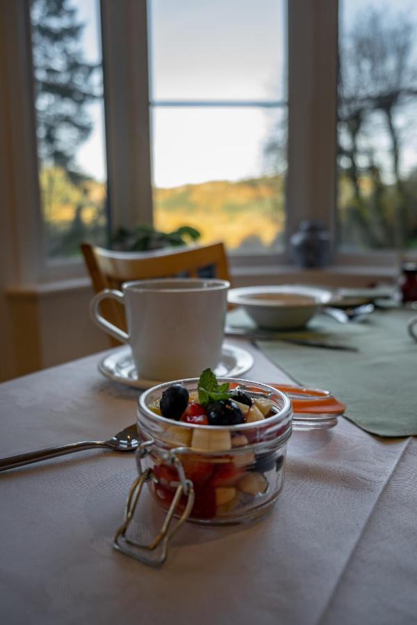 Bed and Breakfast Glyntwrog House à Betws-y-Coed Extérieur photo